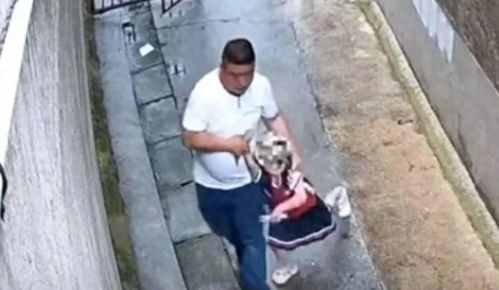 案改判掌握刑事犯罪证据更多内幕曝光开元棋牌试玩最新后续！湖南拖拽女童(图2)